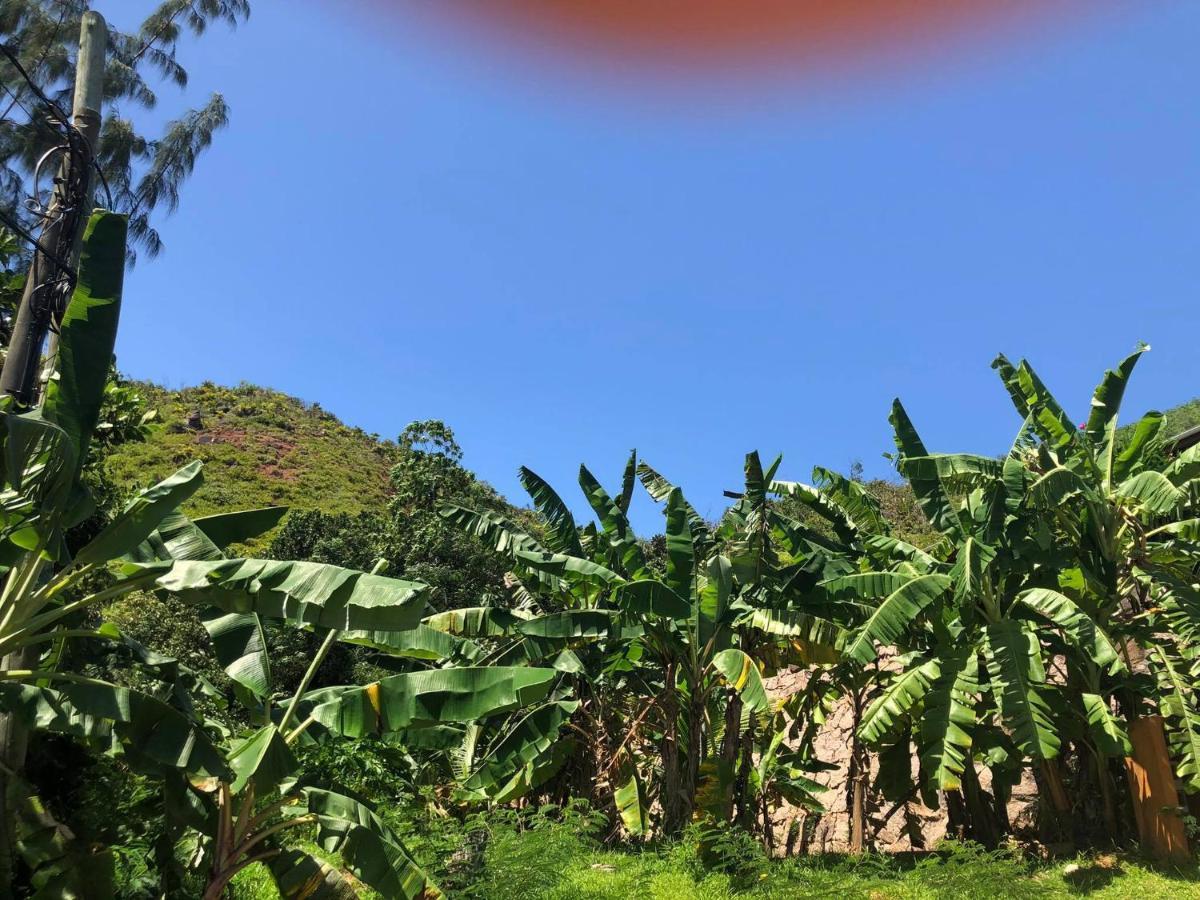 Mirella Villa Anse Volbert Village Exterior foto