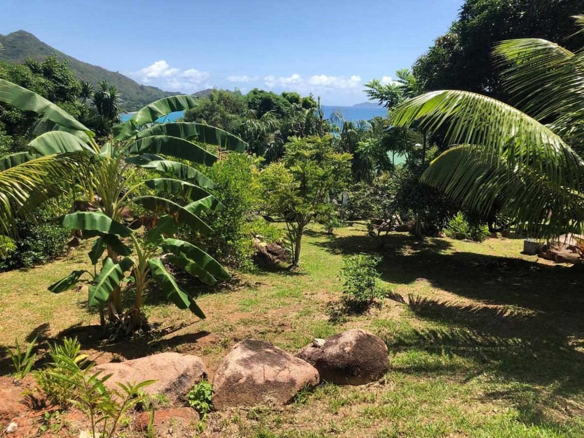 Mirella Villa Anse Volbert Village Exterior foto